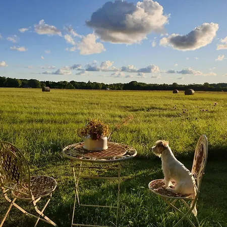 Paerna Muhu Island Prázdninový dům *