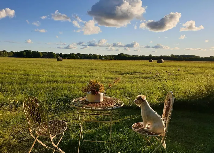 Paerna Muhu Island 度假居 *